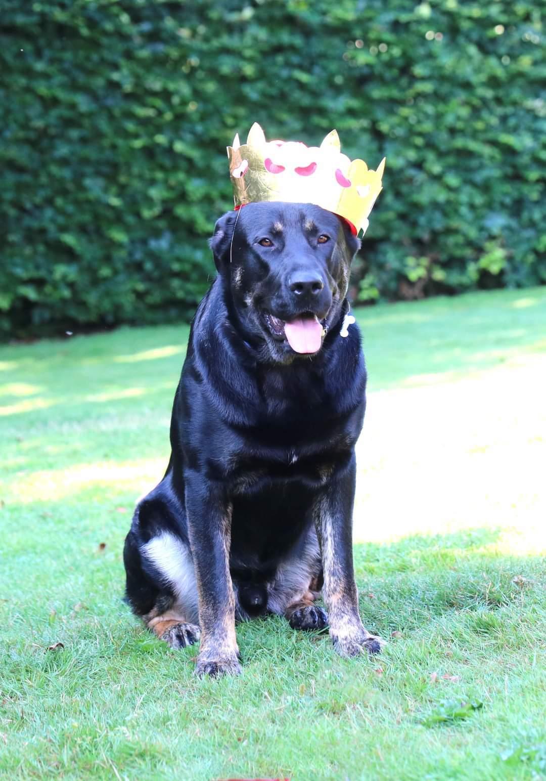 Blanding af racer Kalle - 1 års fødselsdag billede 22