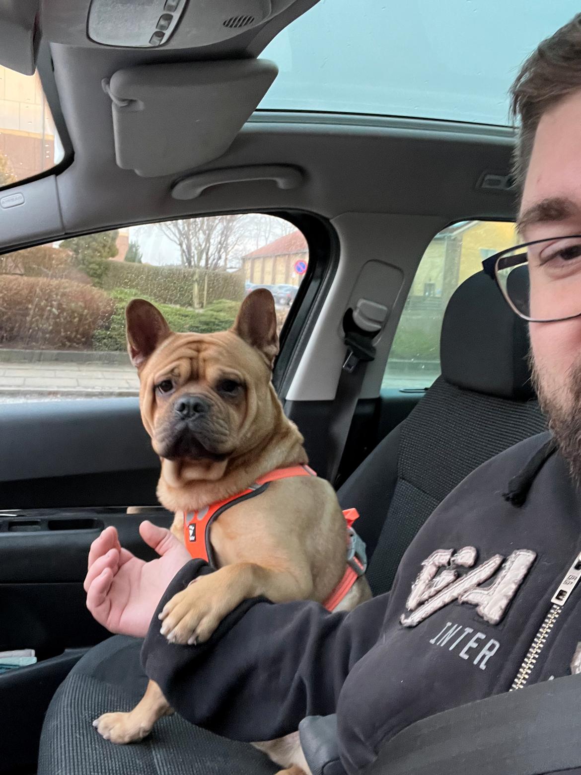 Blanding af racer Alfred - Med far på tur snart 2 år  billede 8