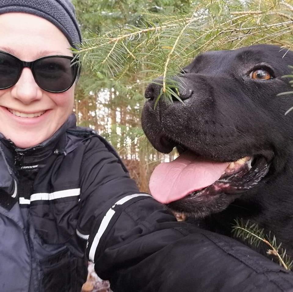 Labrador retriever Balder (Sympa Emil) billede 12