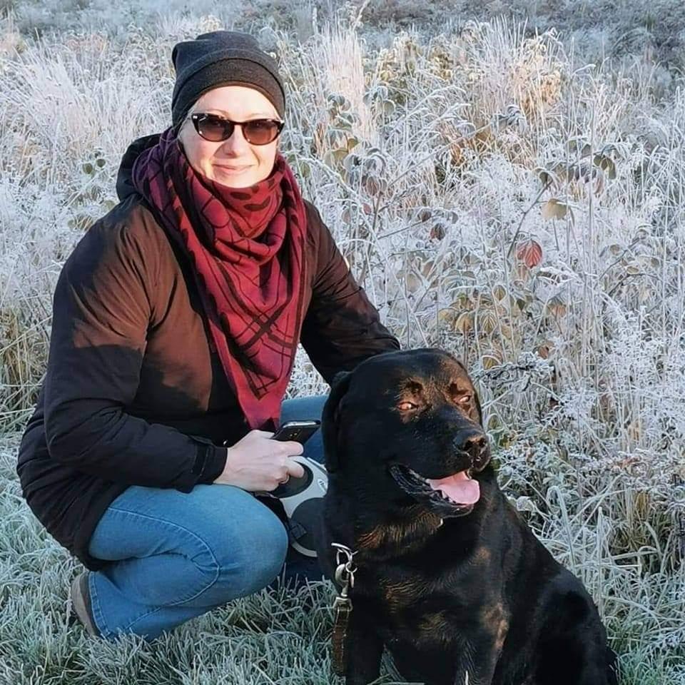 Labrador retriever Balder (Sympa Emil) billede 13