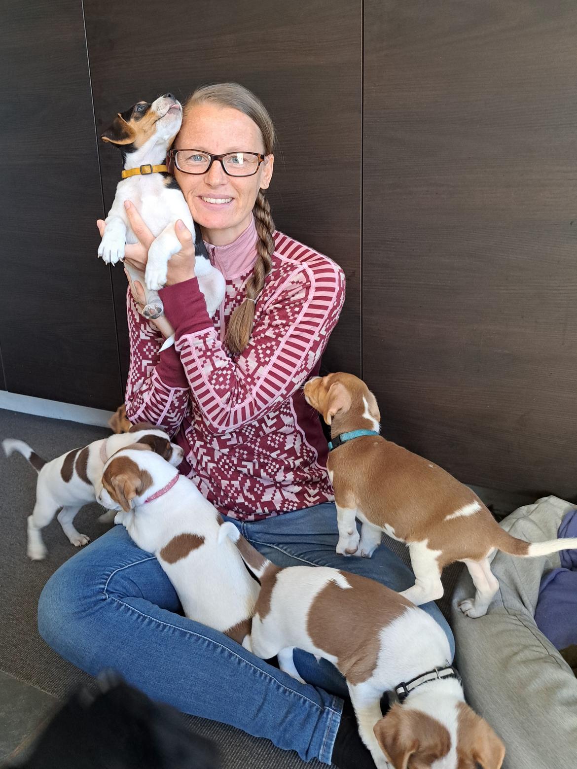 Dansk svensk gaardhund Eddie R.I.P. billede 7