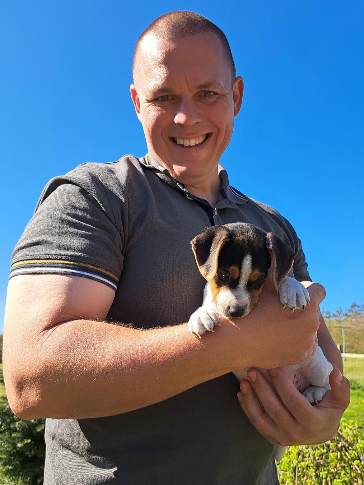 Dansk svensk gaardhund Eddie R.I.P. billede 8