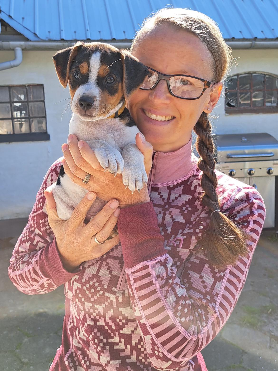 Dansk svensk gaardhund Eddie R.I.P. billede 9