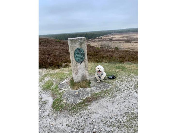 {{currentPhoto.altText}} billede {{currentPhoto.number}}