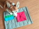 Welsh corgi pembroke Liste Line From Russia with Love