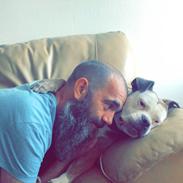 Olde english bulldogge Kenya