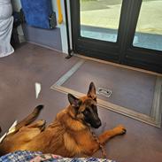 Blanding af racer Karma