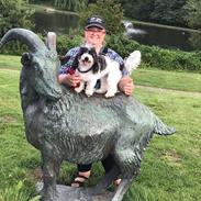 Coton de tulear Smiley Lady