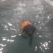 Blanding af racer Ronja