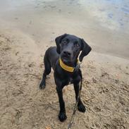 Blanding af racer Hyper