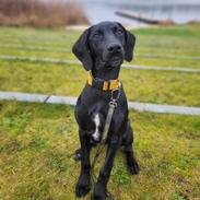 Blanding af racer Hyper