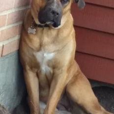 Blanding af racer Raika