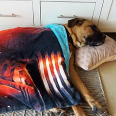 Blanding af racer Raika