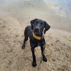 Blanding af racer Hyper