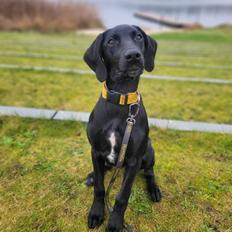 Blanding af racer Hyper