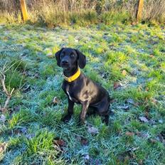 Blanding af racer Hyper