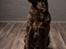 Labrador retriever Cody