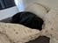 Labrador retriever Bamse