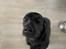 Labrador retriever Bamse
