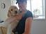 Labrador retriever Gule