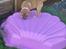 Staffordshire bull terrier Hedam Allstars Sarafina