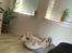 Samojedhund Stella the Tiny dog 