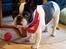 Fransk bulldog Himmelhund Tyson