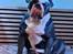 Olde english bulldogge Mr. Blue 