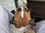 Jack russell terrier Marlo