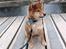Shiba Pelle