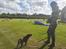 Labrador retriever Balder - 26. maj 2025