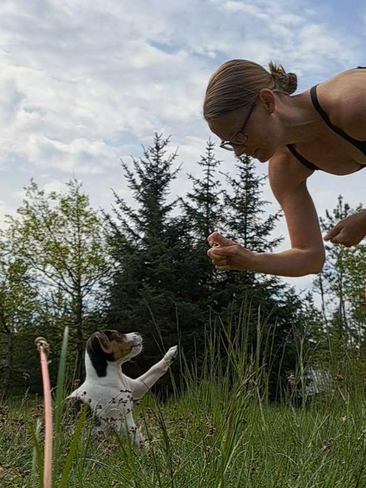 Dansk svensk gaardhund Eddie R.I.P. - 21. maj 2023 billede 22