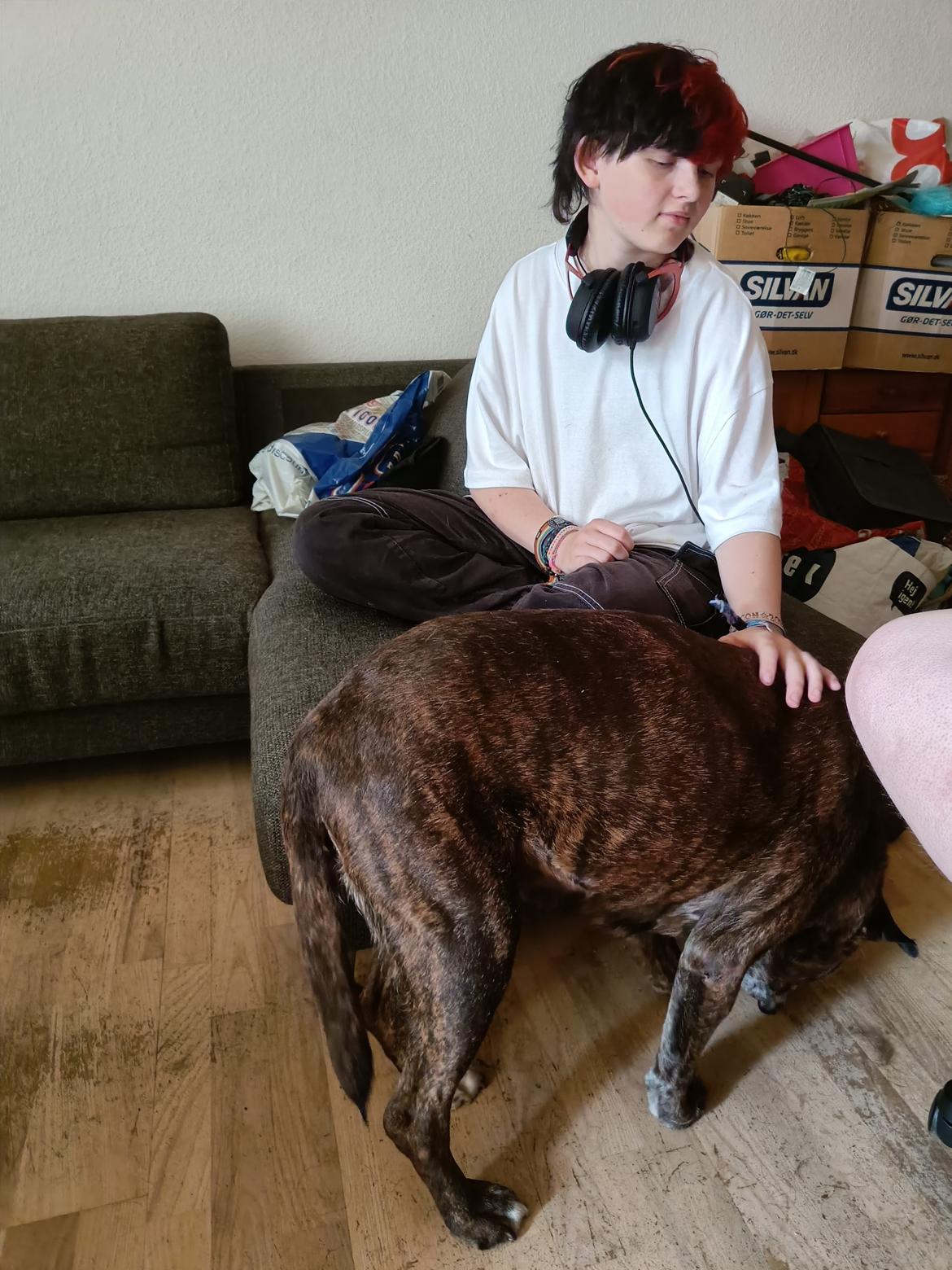 Boxer Kira (Passer) *RIP* billede 41