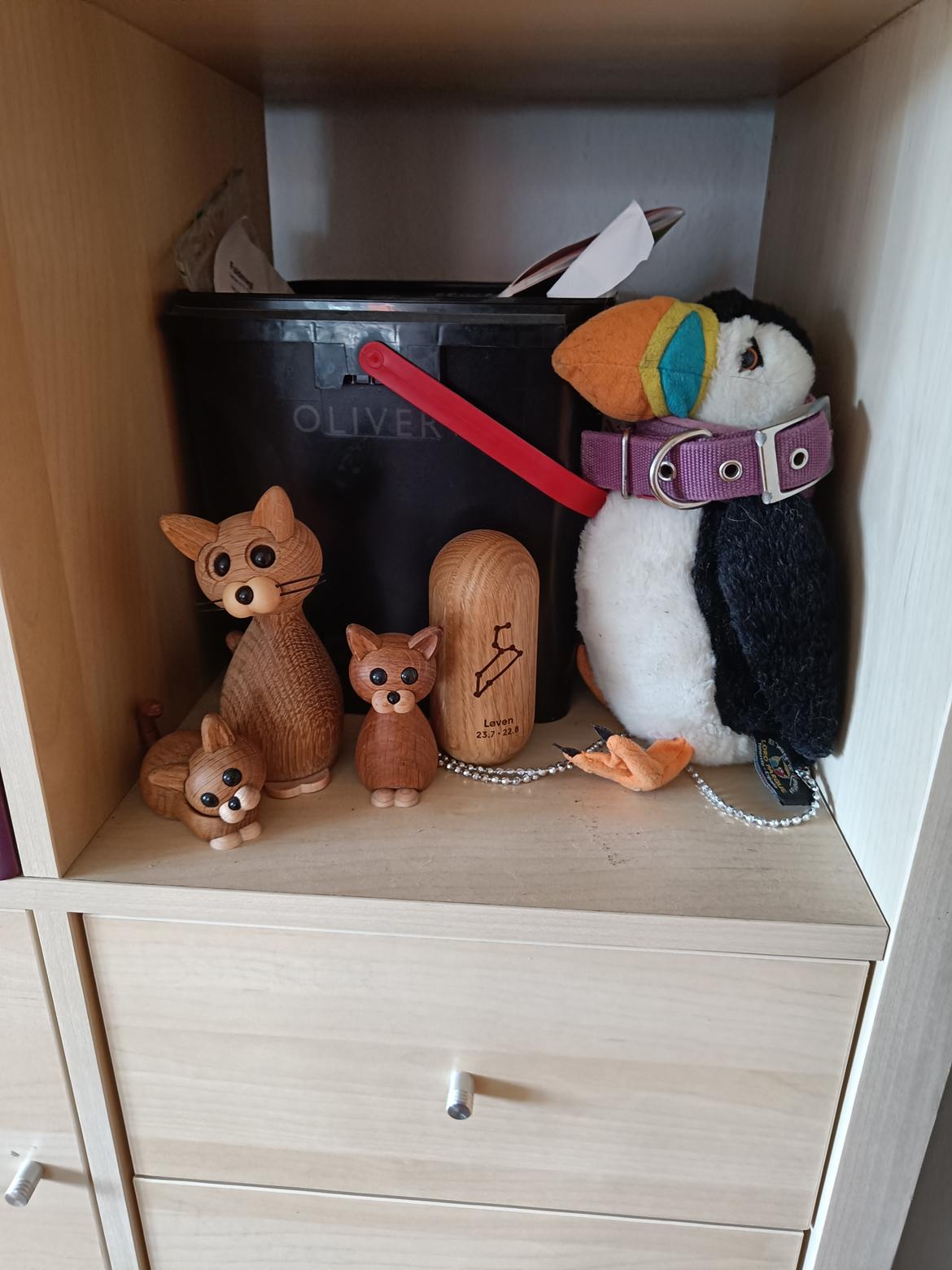 Boxer Kira (Passer) *RIP* billede 43