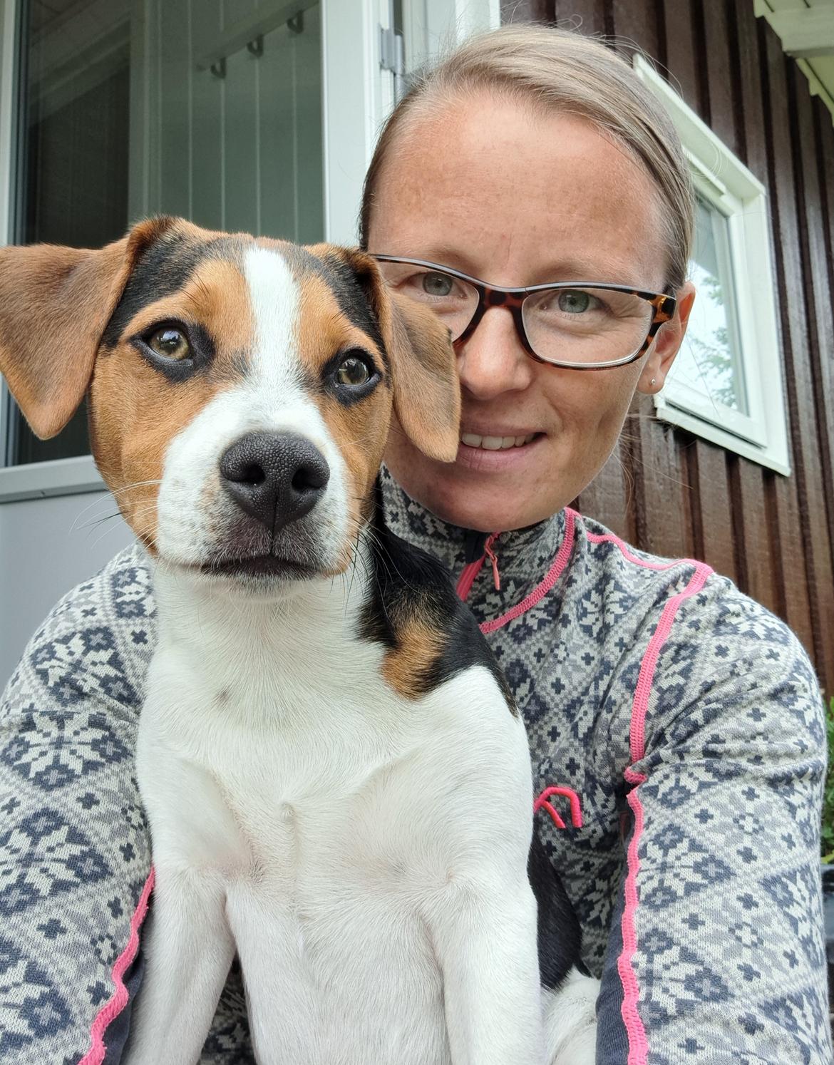 Dansk svensk gaardhund Eddie R.I.P. - 14. august 2023 billede 25