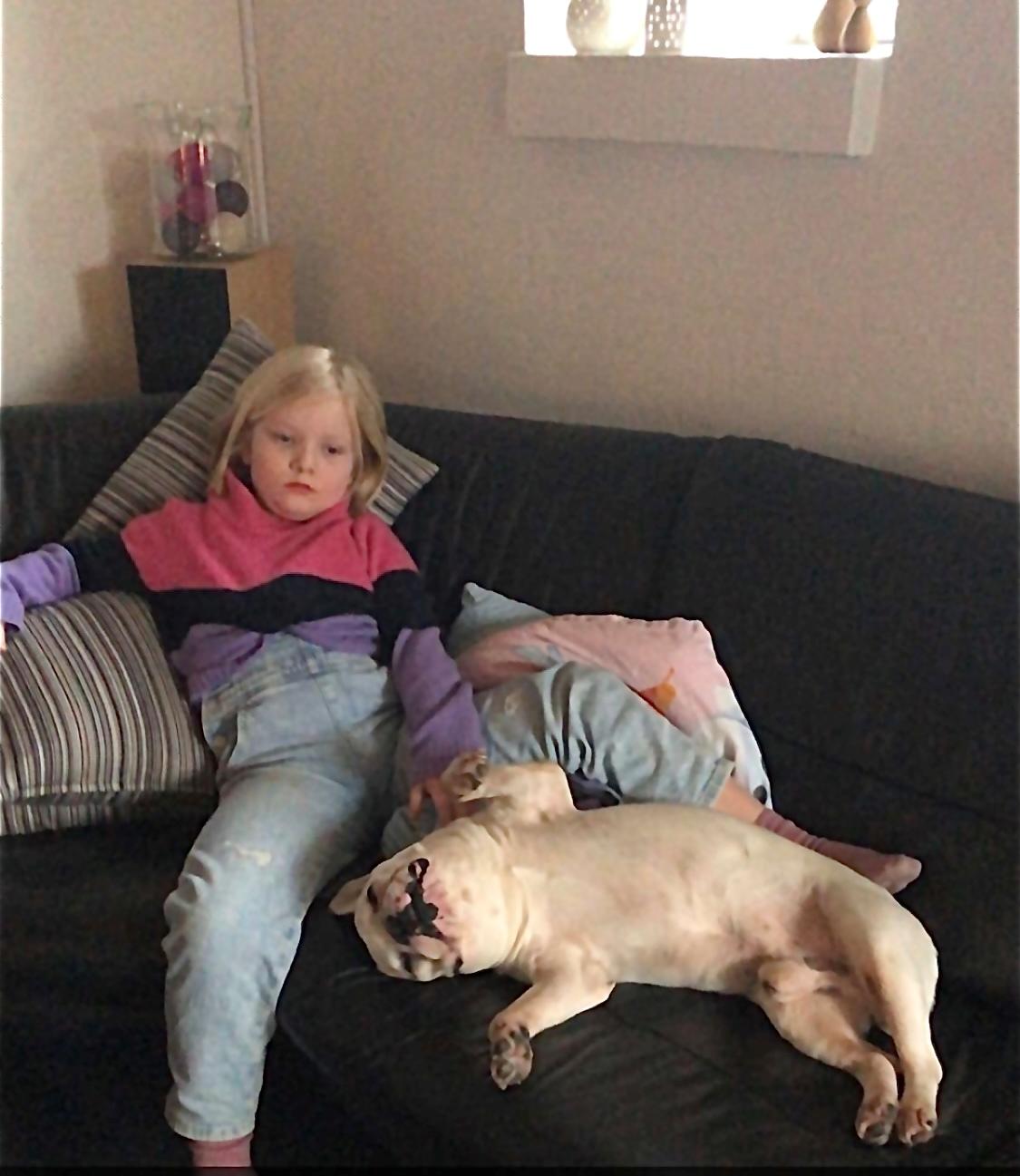 Fransk bulldog Møffe (Bjarne). billede 42