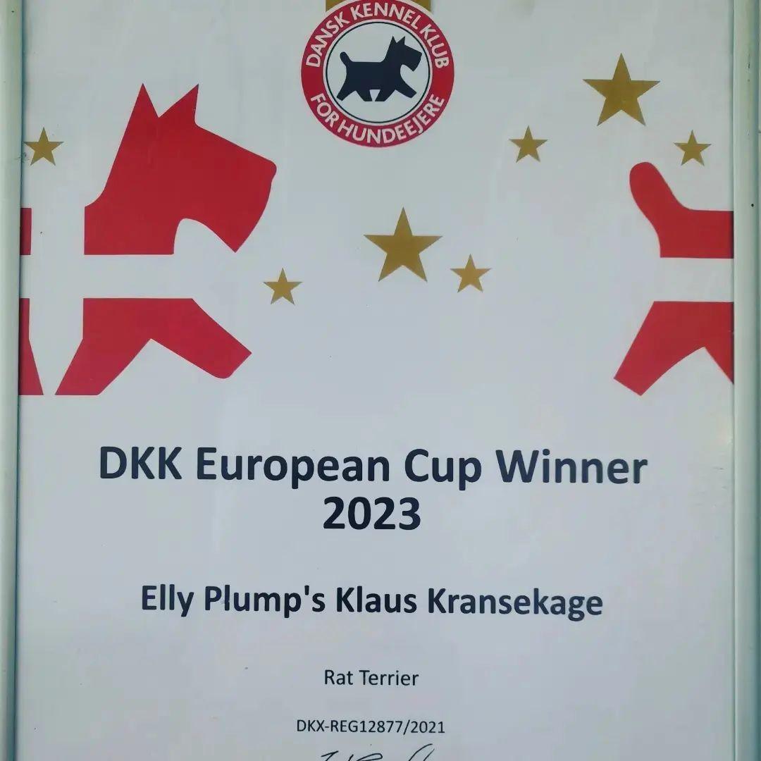 Rat Terrier ELLY PLUMP´S KLAUS KRANSEKAGE billede 10