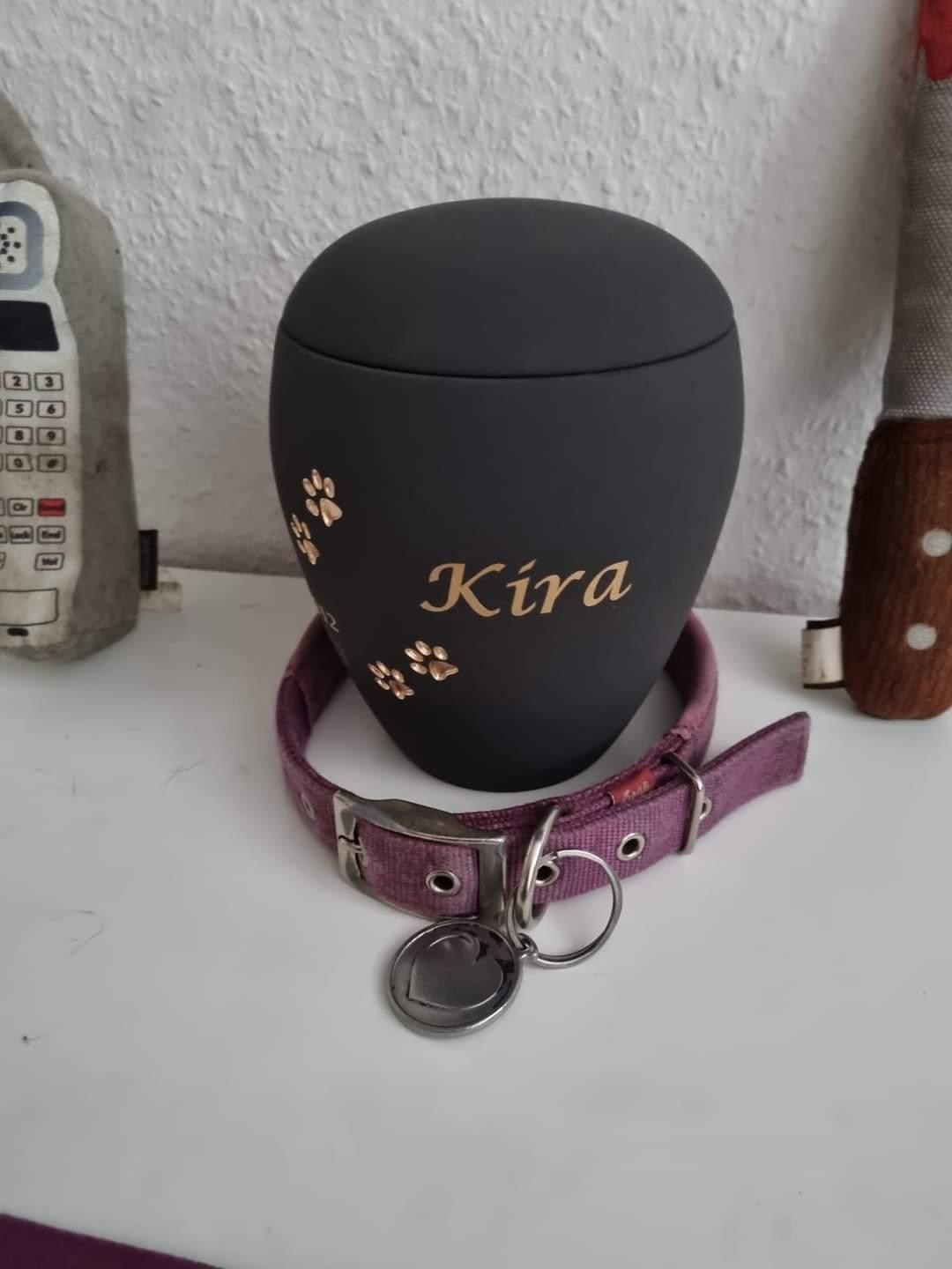 Boxer Kira (Passer) *RIP* billede 1