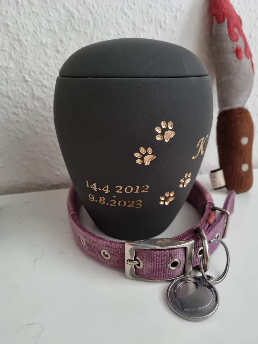 Boxer Kira (Passer) *RIP* billede 2