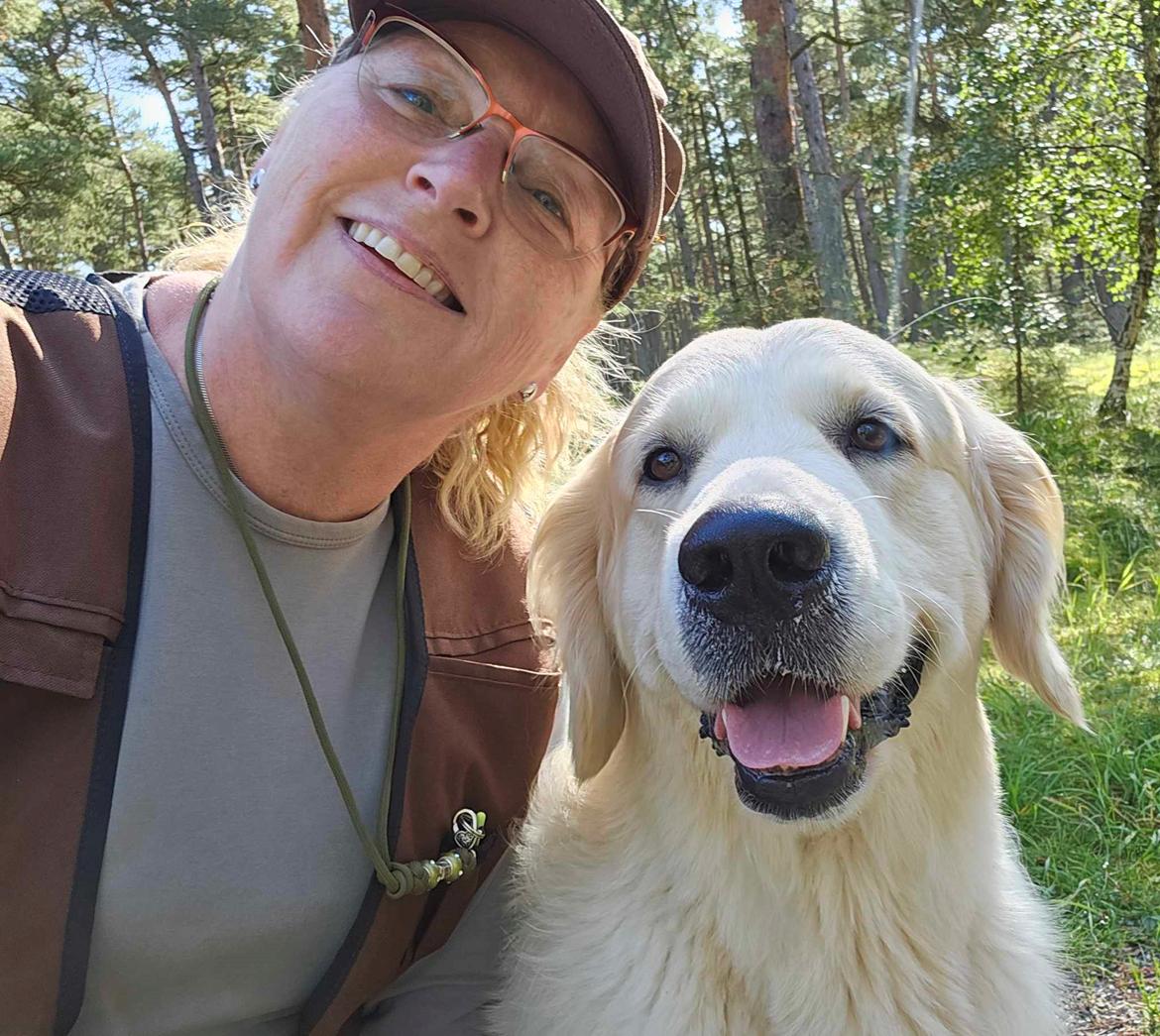 Golden retriever DKCH(U) DKJUCH DEVDHCH Manhattan V.D. Corner Brook - Verdens bedste træningsmakker - DKJUCH Manhattan v.d. Corner Brook billede 14