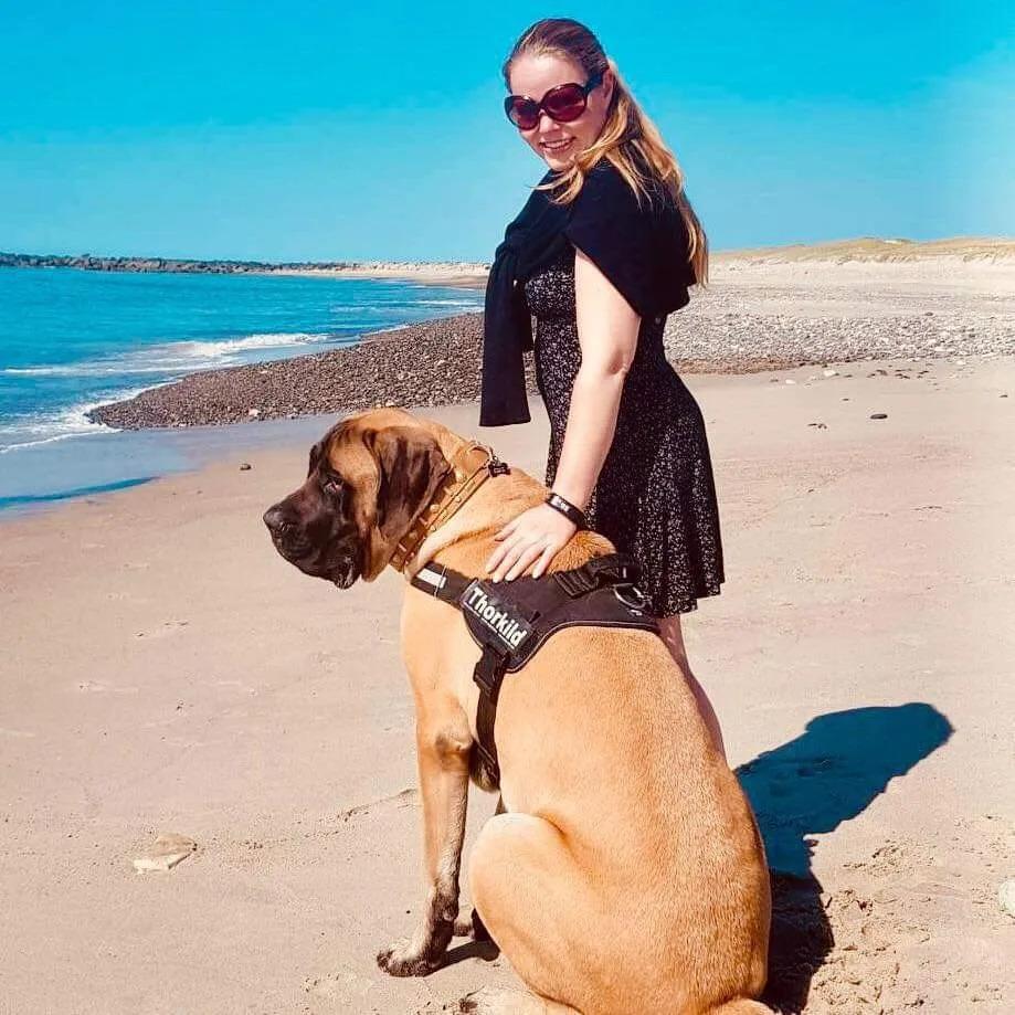 Mastiff Thorkild (død 2023) billede 31