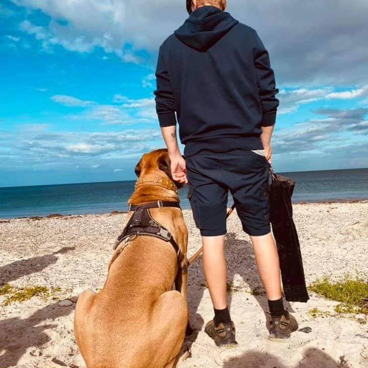 Mastiff Thorkild (død 2023) billede 29