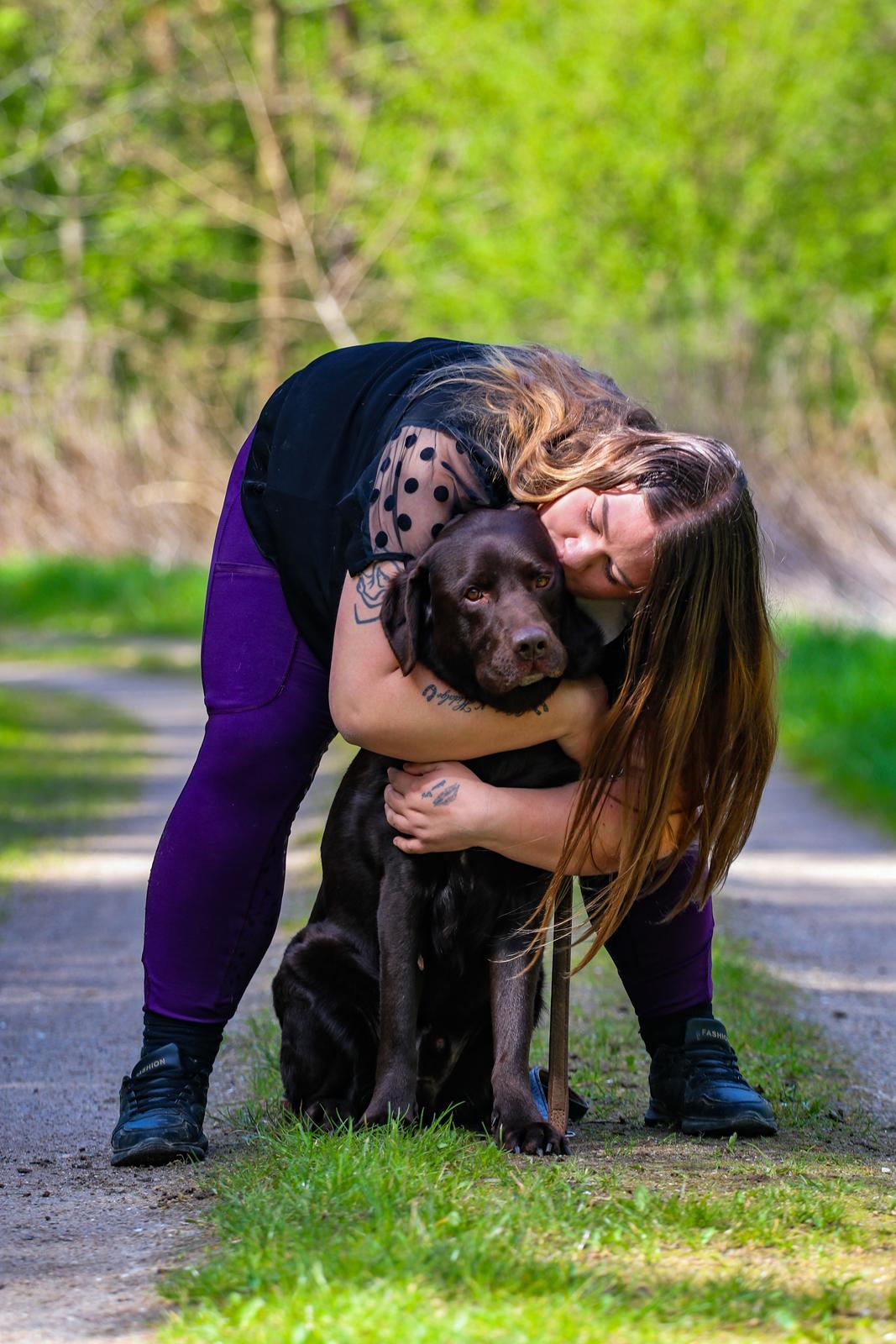 Labrador retriever Cody billede 19