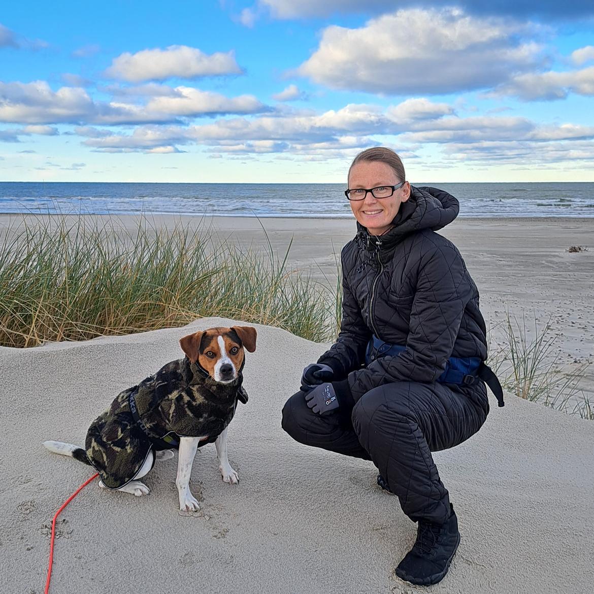 Dansk svensk gaardhund Eddie R.I.P. - 21. november 2024 billede 47