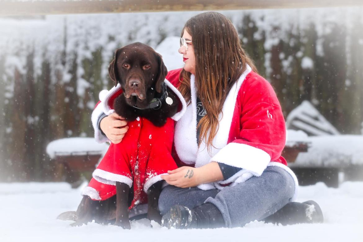 Labrador retriever Cody billede 33