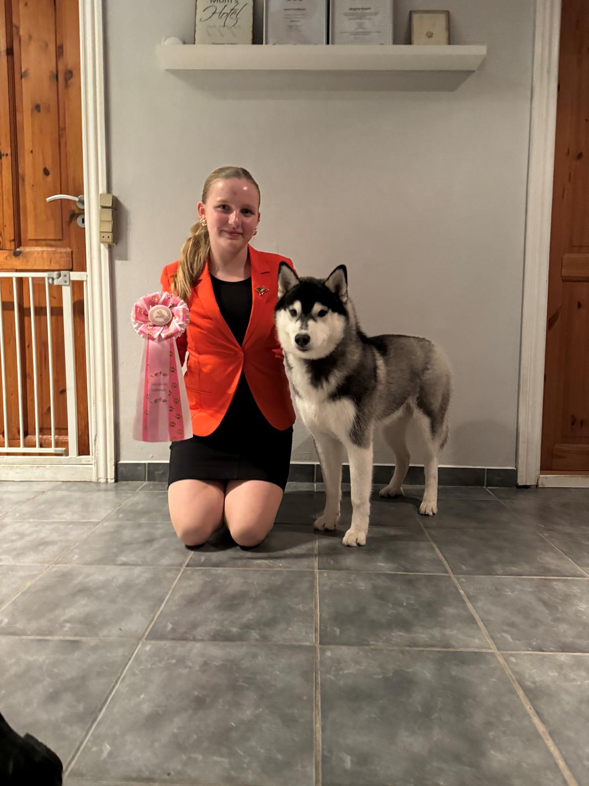 Siberian husky Le Dam Latea Turbo Volvo lover “Marco” billede 13