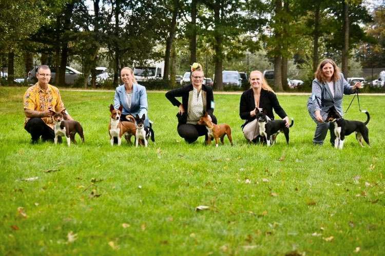 Rat Terrier Elly Plump´s I`LL KILLS THAT CAT (Hansen) billede 3