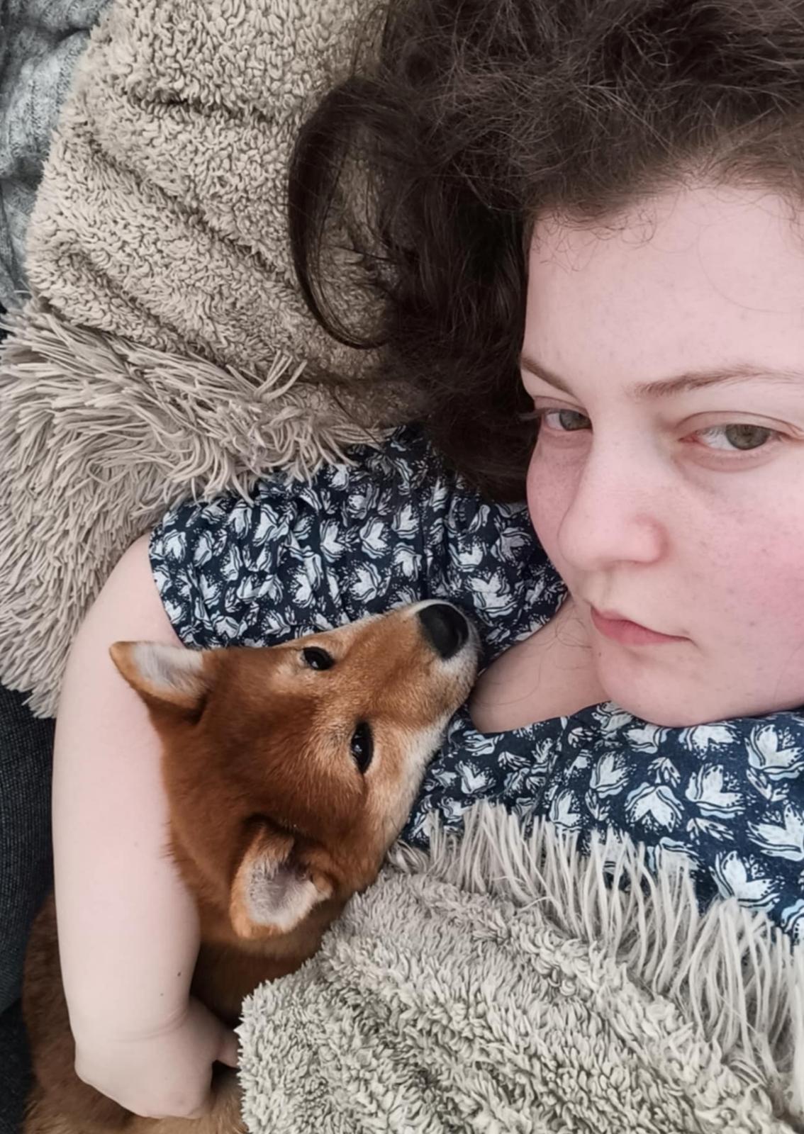 Shiba Pelle billede 8