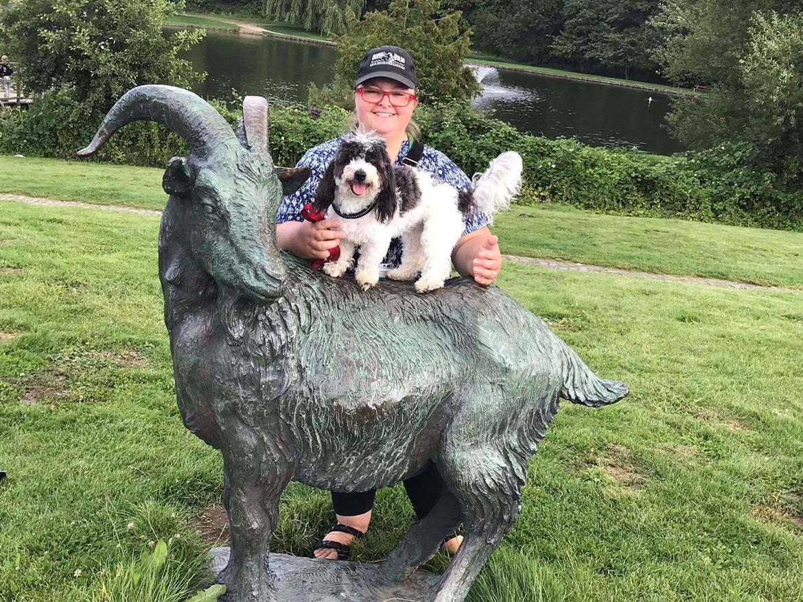 Coton de tulear Smiley Lady - Ladys første tur til Madsby parken billede 1