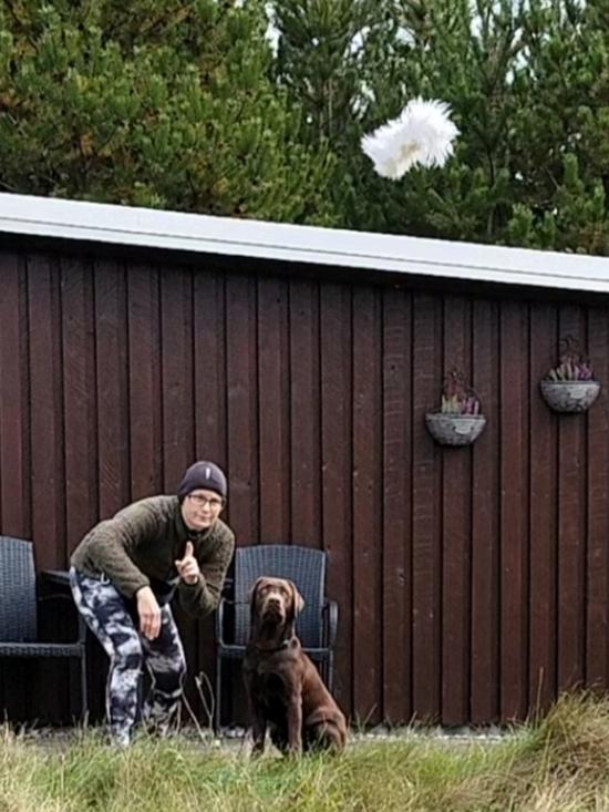 Labrador retriever Balder - 2. oktober 2025 billede 42